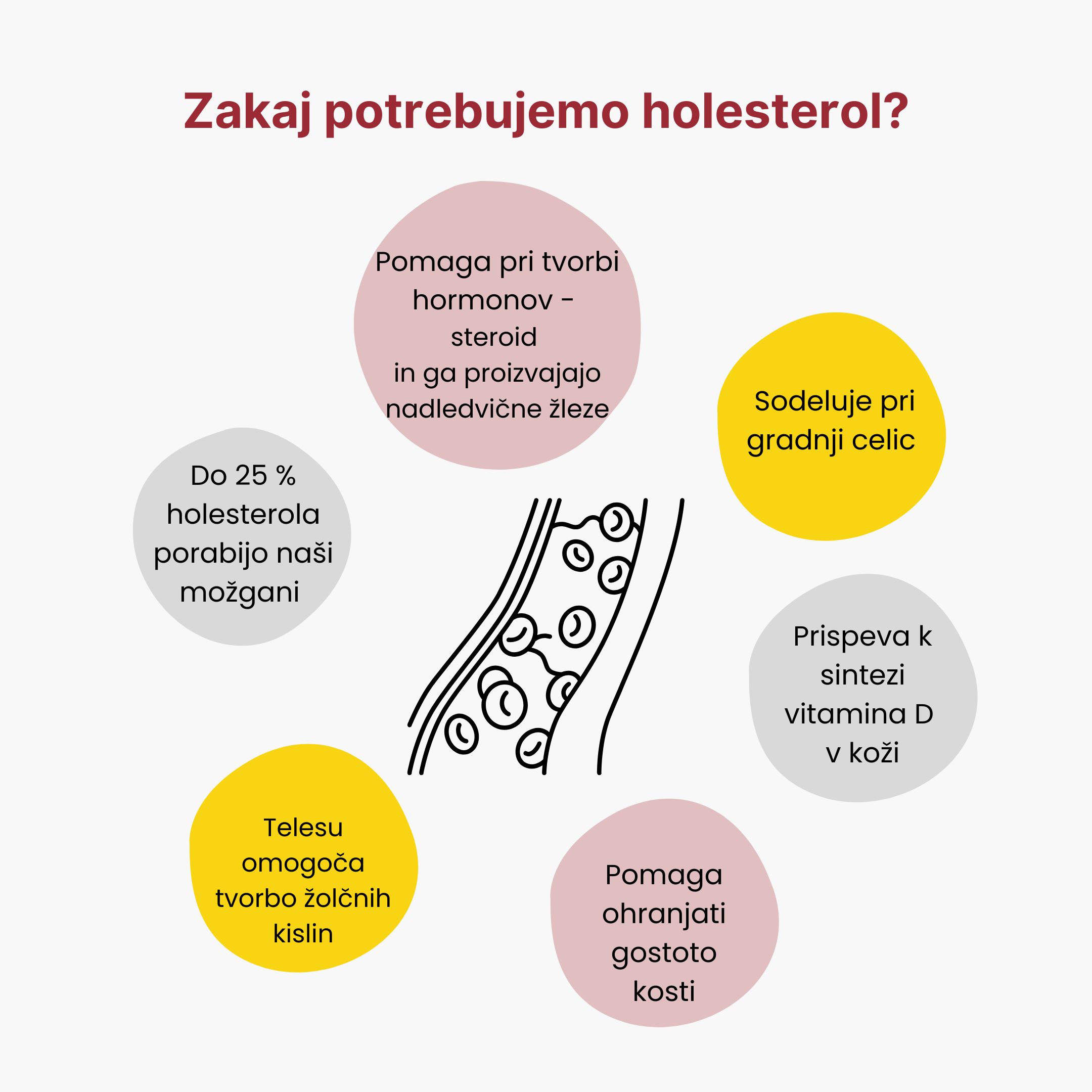 (Slovinština) Proč potřebujeme cholesterol